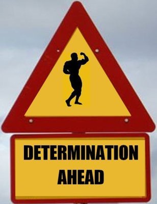 quotes for determination. point determination
